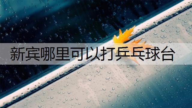 新宾哪里可以打乒乓球台