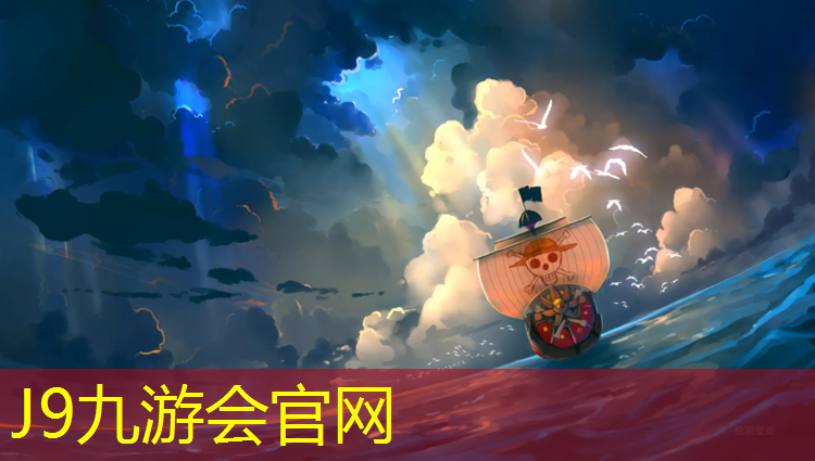 J9九游会真人游戏第一品牌：藏龙跆拳道的专用护具
